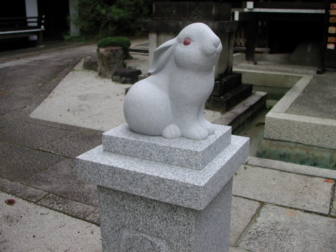 うさぎ