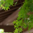 当社の特徴
